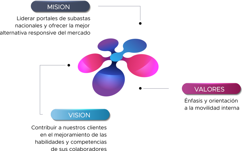 Misión, visión y valores